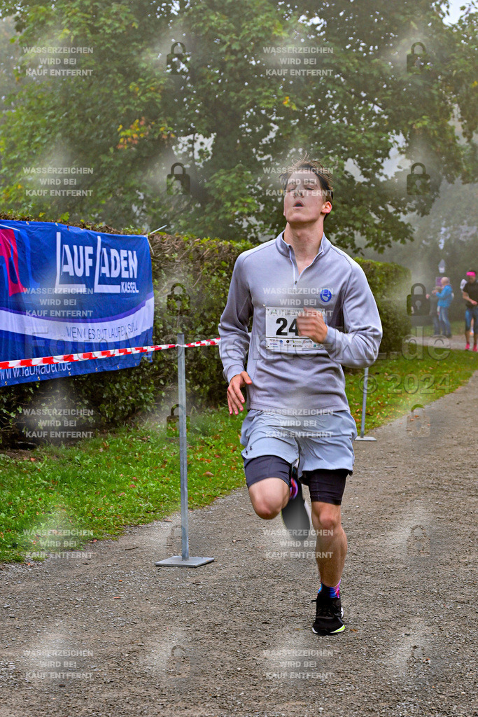 Z8N_1690 | la-psv - Realisiert mit Pictrs.com