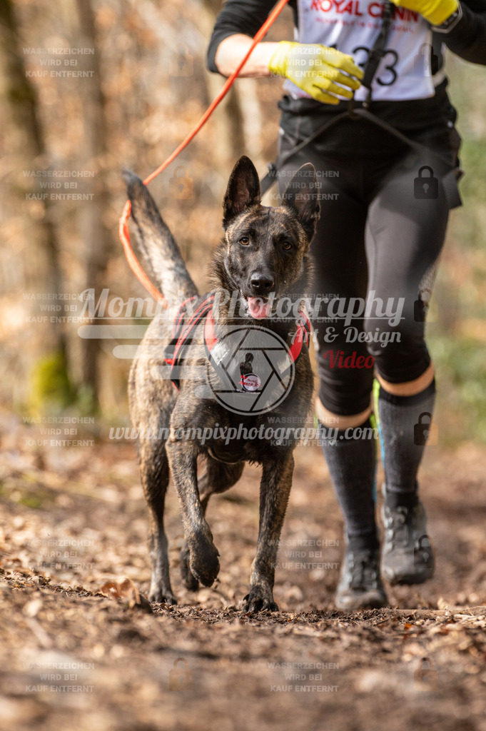 SPA_2023_DIM_Fun-44 | PayLife