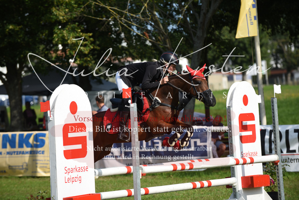 DSC_8959 | Pferde- und Turnierfotografie in Westsachsen. Pferdeportraits, Auftragszeichnungen und intuitive Kunst.