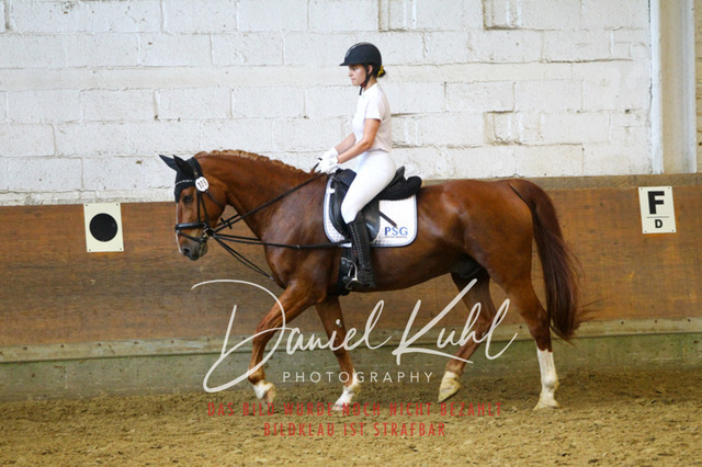 DKP44066 | Turniersportfotografie; Pferdefotografie; Dressurfotografie