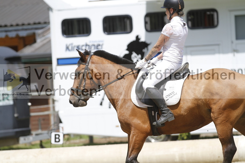 _MG_0981 | equestrian-live-com