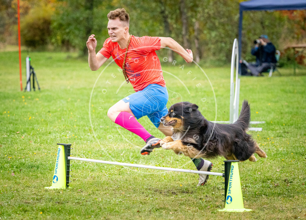 Pfotenfotografie_DV3A1195 | Hundefotografie, Tierfotograf, Pfotenfotografie, Fotoshooting Hund, Hunde Portrait, Hundesport, Hundeportraits, Heideshooting, Hunde, Sportfotograf, Hundefotograf, Turnierhundsport, THS,  - Realisiert mit Pictrs.com