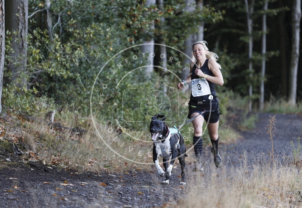 0L8A1322 | Hundefotografie, Tierfotograf, Pfotenfotografie, Fotoshooting Hund, Hunde Portrait, Hundesport, Hundeportraits, Heideshooting, Hunde, Sportfotograf, Hundefotograf, Turnierhundsport, THS,  - Realisiert mit Pictrs.com