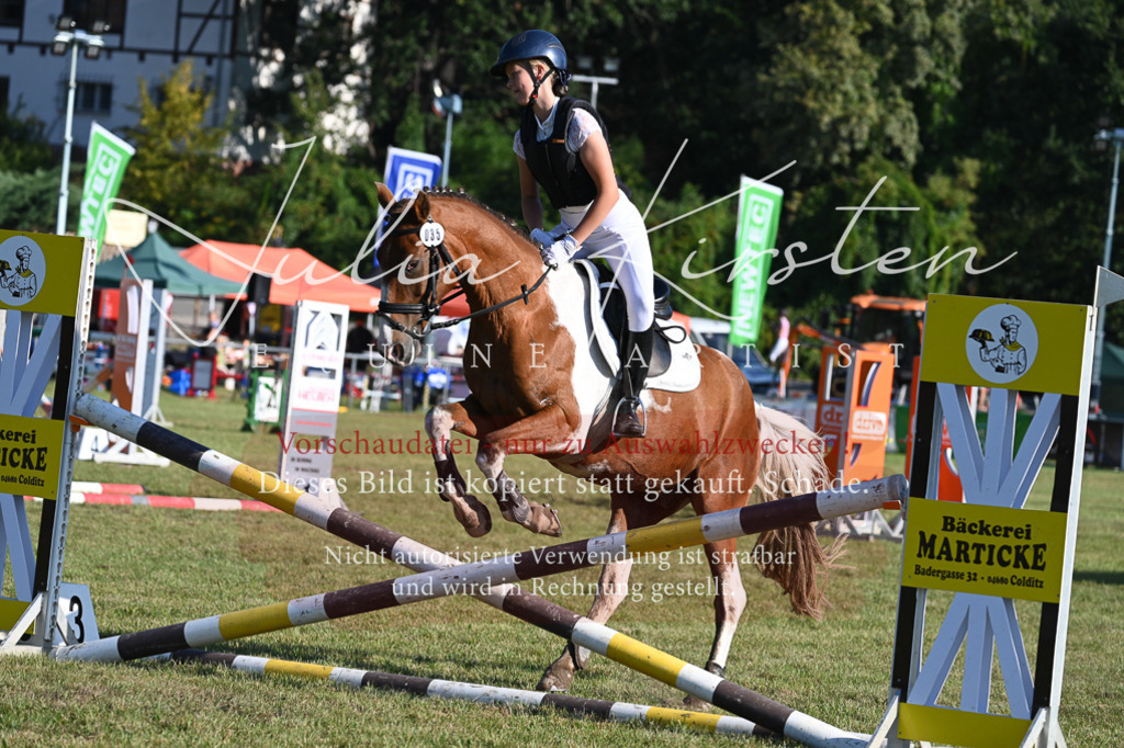 DSC_4892 | Pferde- und Turnierfotografie in Westsachsen. Pferdeportraits, Auftragszeichnungen und intuitive Kunst.