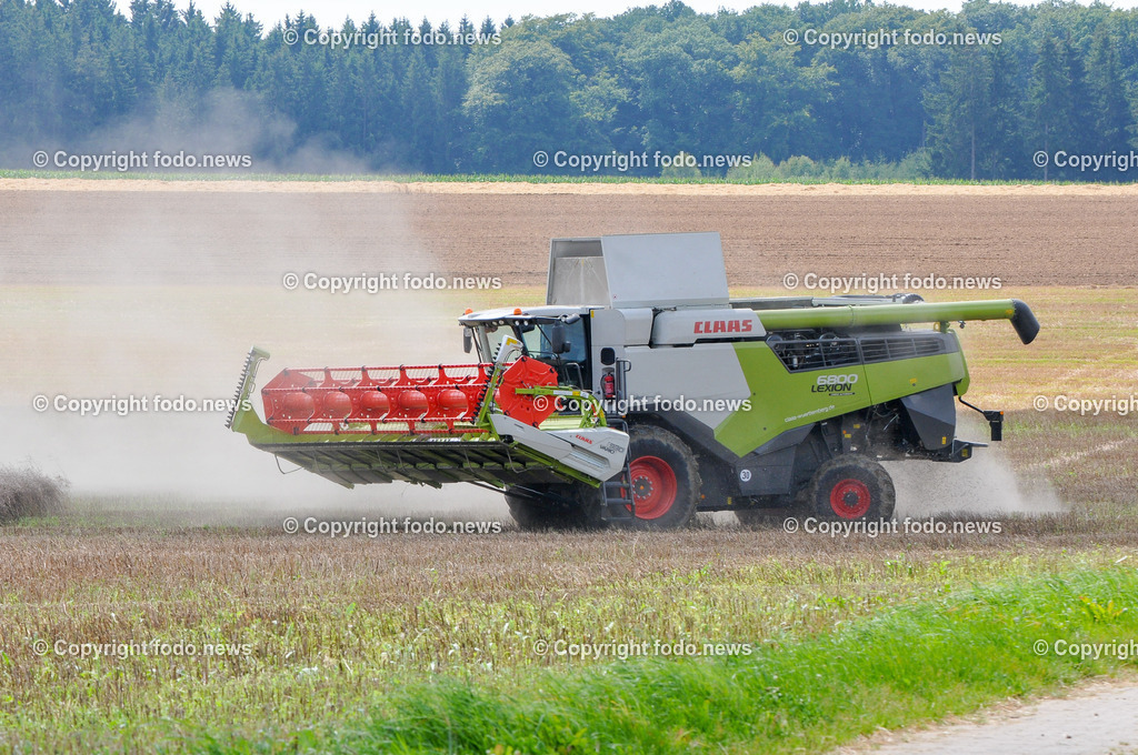 Landwirtschaft_ Feldarbeit_ 25.07.2024-1 | 25.07.2024, Linz, AUT, Feldarbeit, im Bild Maehdrescher, Ernte, Landmaschine, Feldarbeit, Getreide, Bauer, Landwirt, Landwirtschaft, Feld, Traktor, Stroh