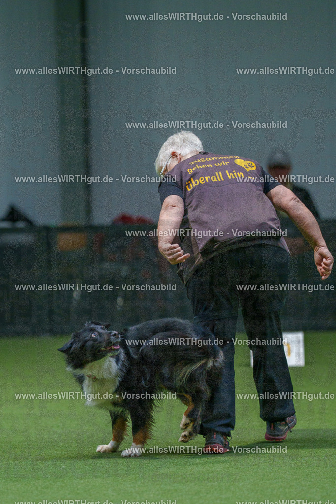 7R507079 | Professionelle Tierfotografie in Mönchengladbach von Daniel Wirth (allesWIRTHgut). Liebevolle & natürliche Bilder von Hunden & Katzen für unvergessliche Erinnerungen.