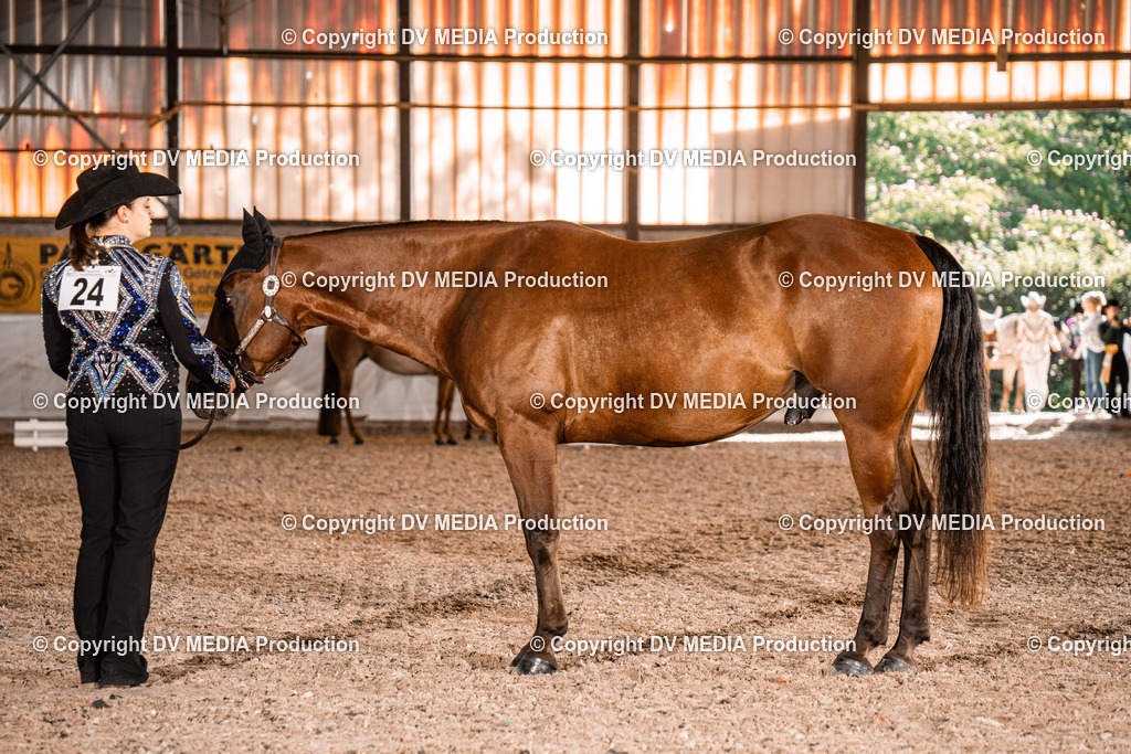 ZH100212 | dv-media-shop - Realisiert mit Pictrs.com