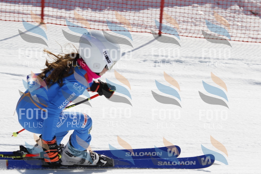 _U3G9533 | holidayphoto