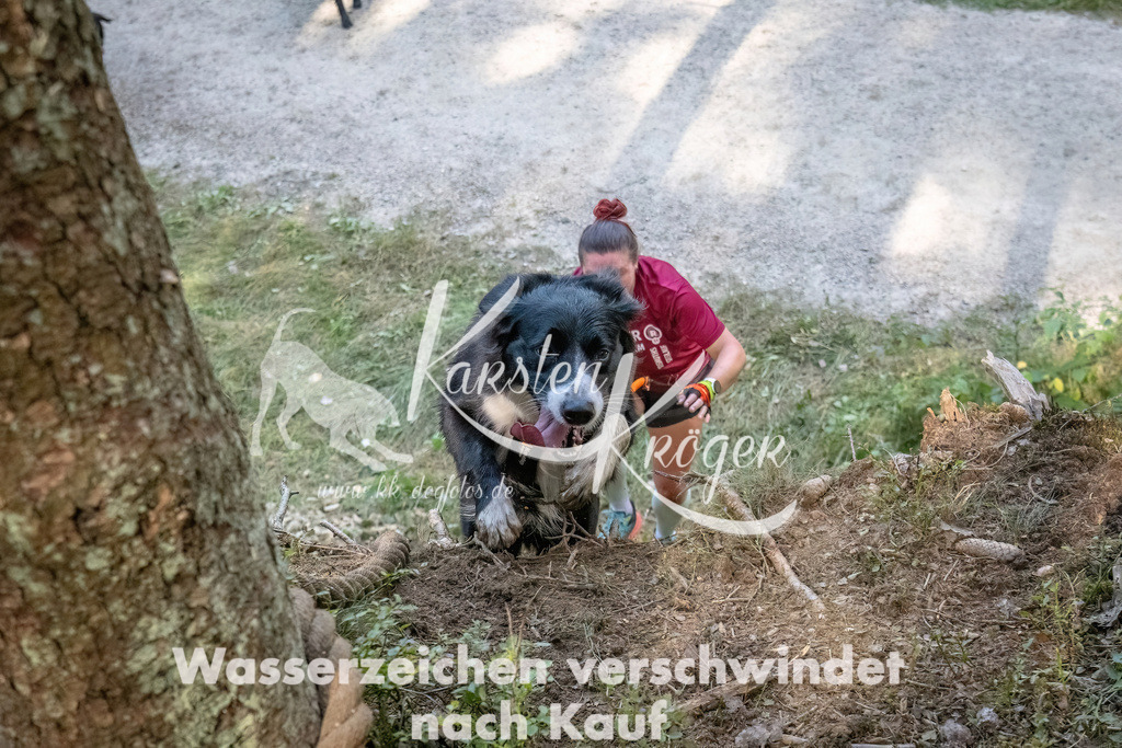 1056_ZZ93661 | kk-dogfotos