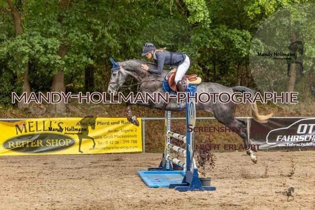 26-8-7 SPR A++-250 | mandyhollmannphotographie