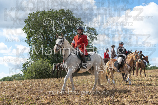 Jagd Wittenberg_MarinaHewig_MCH6661 | Fotografie, FotoArt, PferdesportArt, Pferdesportfotografie, Landschaftsfotografie, Reisefotografie, Reise, Pferde - Realisiert mit Pictrs.com