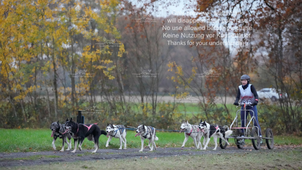 Visbeck_Sa_D4_6-59 | stephaniefillaphotographie - Realisiert mit Pictrs.com