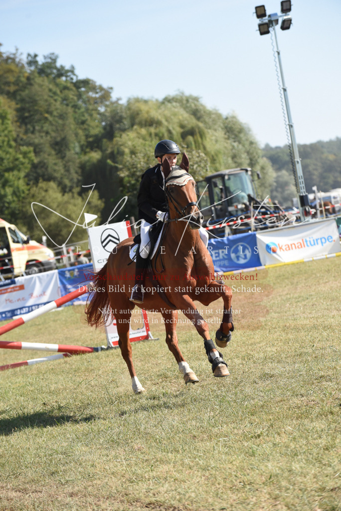 DSC_6045 | Pferde- und Turnierfotografie in Westsachsen. Pferdeportraits, Auftragszeichnungen und intuitive Kunst.