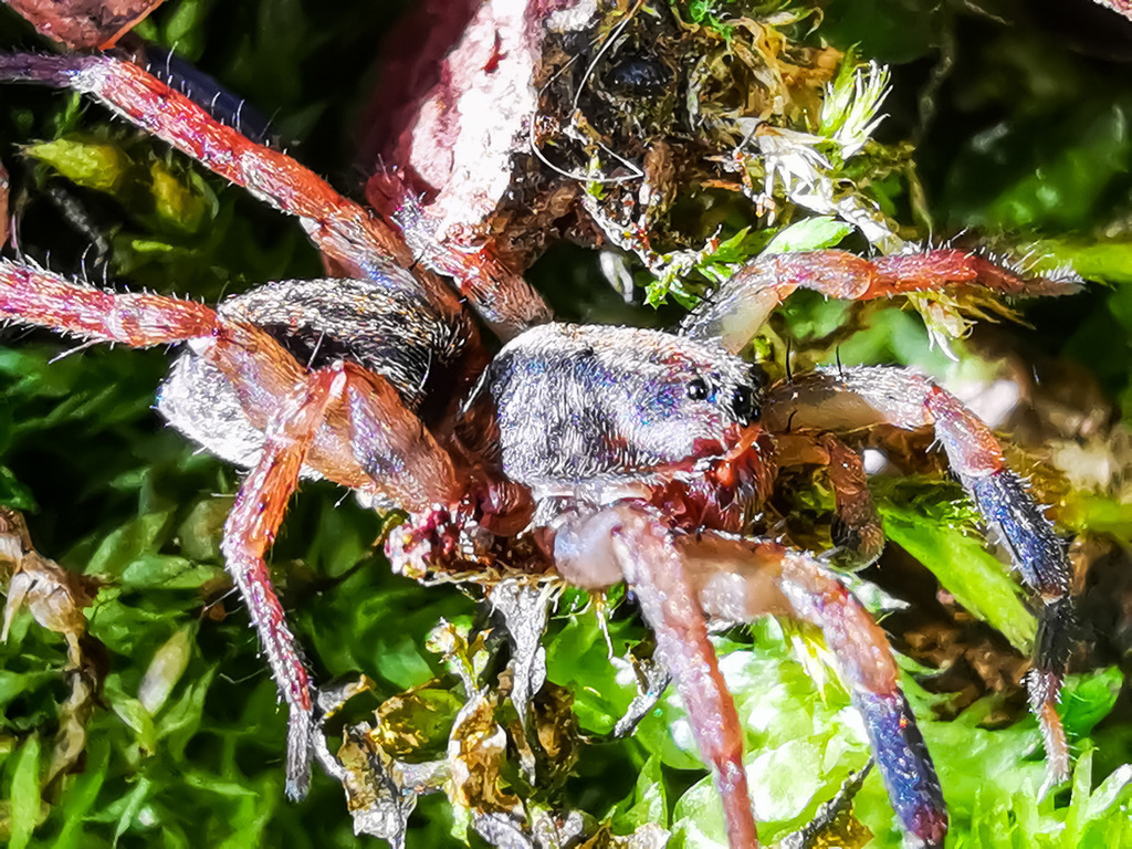 PSX_20230313_225207 | mtkfoto_ - Realisiert mit Pictrs.com