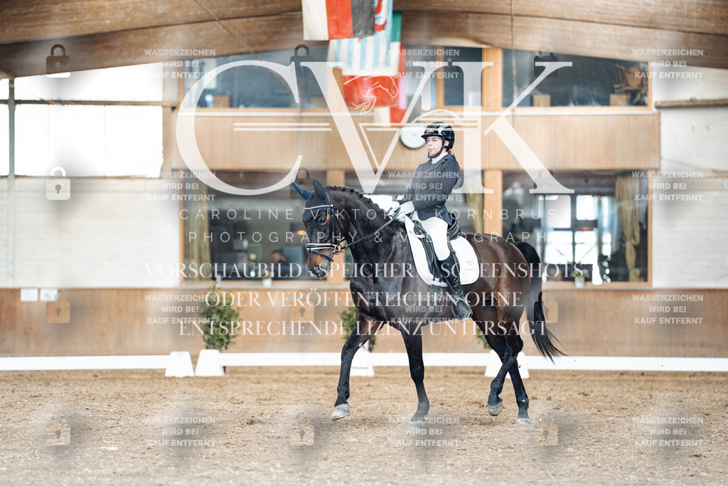 CK901348 | Turnierfotografie Pferdefotografie Trier Rheinland-Pfalz Pferdesport Reitsport Tierfotografie Sportfotografie Pferdevideo Pferdevideografie Equestrianvideography equestrianphotography  - Realisiert mit Pictrs.com