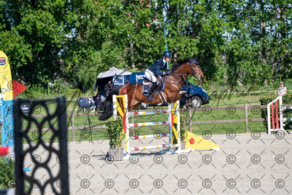 KPT_1730 | andre_photographic