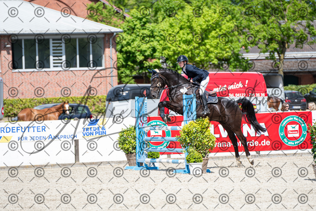 KPT_5272 | andre_photographic