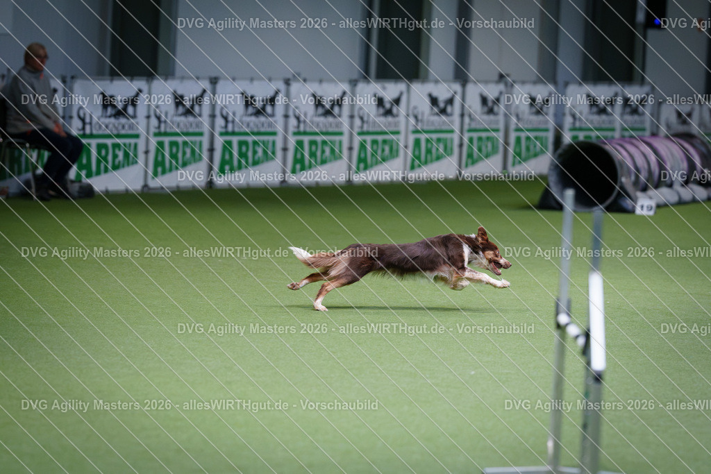allesWIRTHgut_Tierfotografie-DVG_Agility_Masters_2026-11_27-7R501753 | Professionelle Tierfotografie in Mönchengladbach von Daniel Wirth (allesWIRTHgut). Liebevolle & natürliche Bilder von Hunden & Katzen für unvergessliche Erinnerungen.