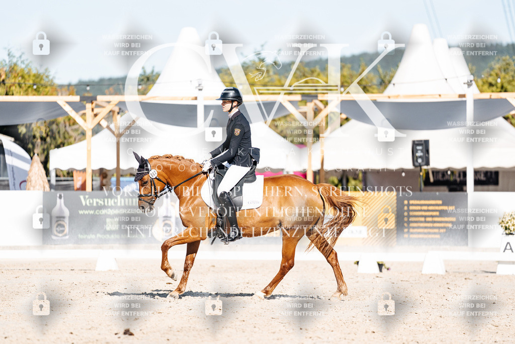 CK907823 | Turnierfotografie Pferdefotografie Trier Rheinland-Pfalz Pferdesport Reitsport Tierfotografie Sportfotografie Pferdevideo Pferdevideografie Equestrianvideography equestrianphotography  - Realisiert mit Pictrs.com