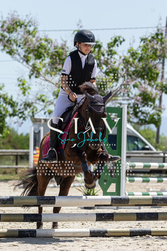 IMG_0193 | s-jay-photography - Realisiert mit Pictrs.com