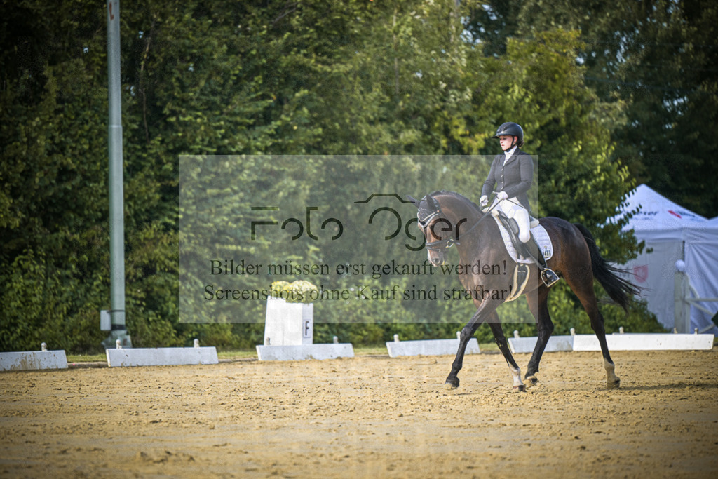 DOS_8674 | Entdecke hochwertige Reitturnierfotos von Foto Oger. Professionell, emotional und authentisch – jetzt Lieblingsmomente im Shop bestellen.Deutschlandweite Turnierfotografie. - Realisiert mit Pictrs.com