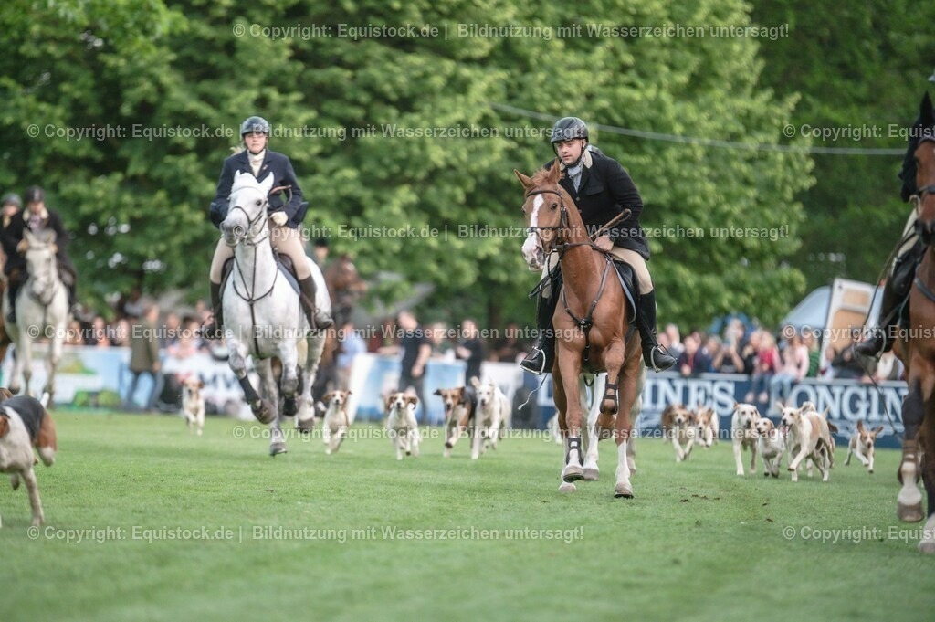 20230526_Pferdenacht_0522 | equistock