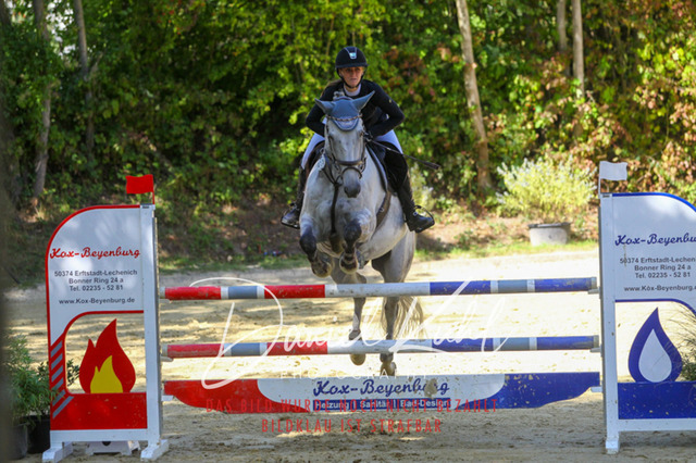 DKP43328 | Turniersportfotografie; Pferdefotografie; Dressurfotografie