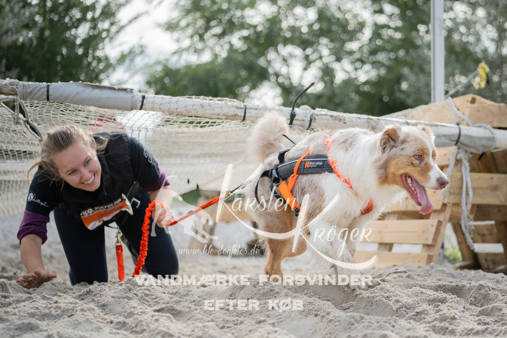 1326_ZZ97021 | kk-dogfotos