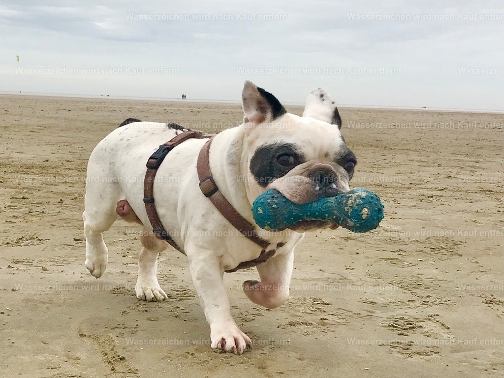 IMG_0532 | heikomoeller - Realisiert mit Pictrs.com