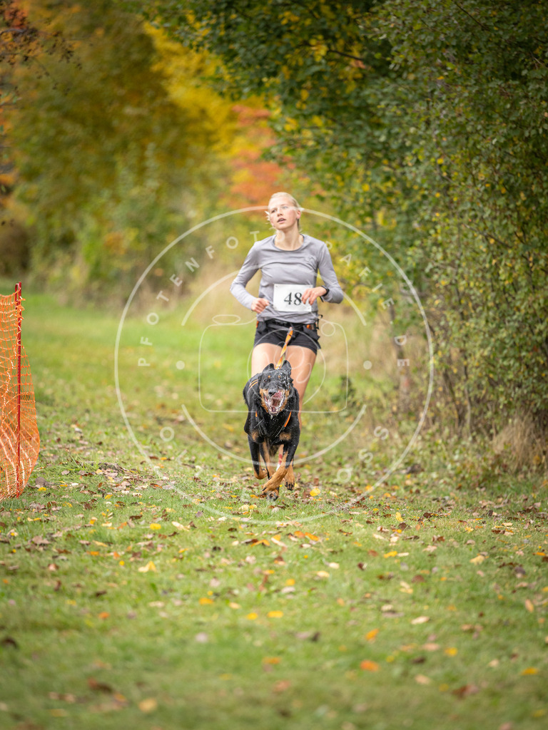 Pfotenfotografie_DV3A2413 | Hundefotografie, Tierfotograf, Pfotenfotografie, Fotoshooting Hund, Hunde Portrait, Hundesport, Hundeportraits, Heideshooting, Hunde, Sportfotograf, Hundefotograf, Turnierhundsport, THS,  - Realisiert mit Pictrs.com