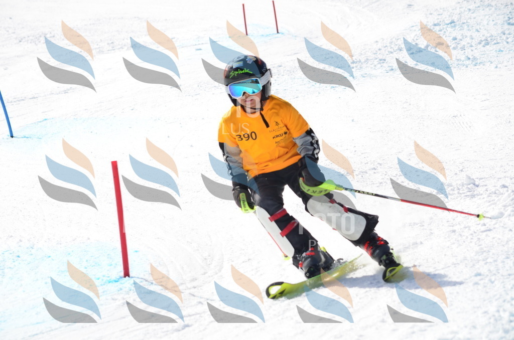 C8788 | holidayphoto