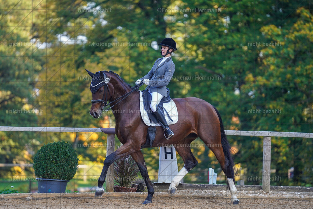 20221007-FAH00375 | Diessen am Ammersee, 2022, Dressur- und Springturnier, Reitsportbilder, Turnierfotografen Bayern, Pferdefotografen, Fotoagentur Herrmann, Turnierbilder