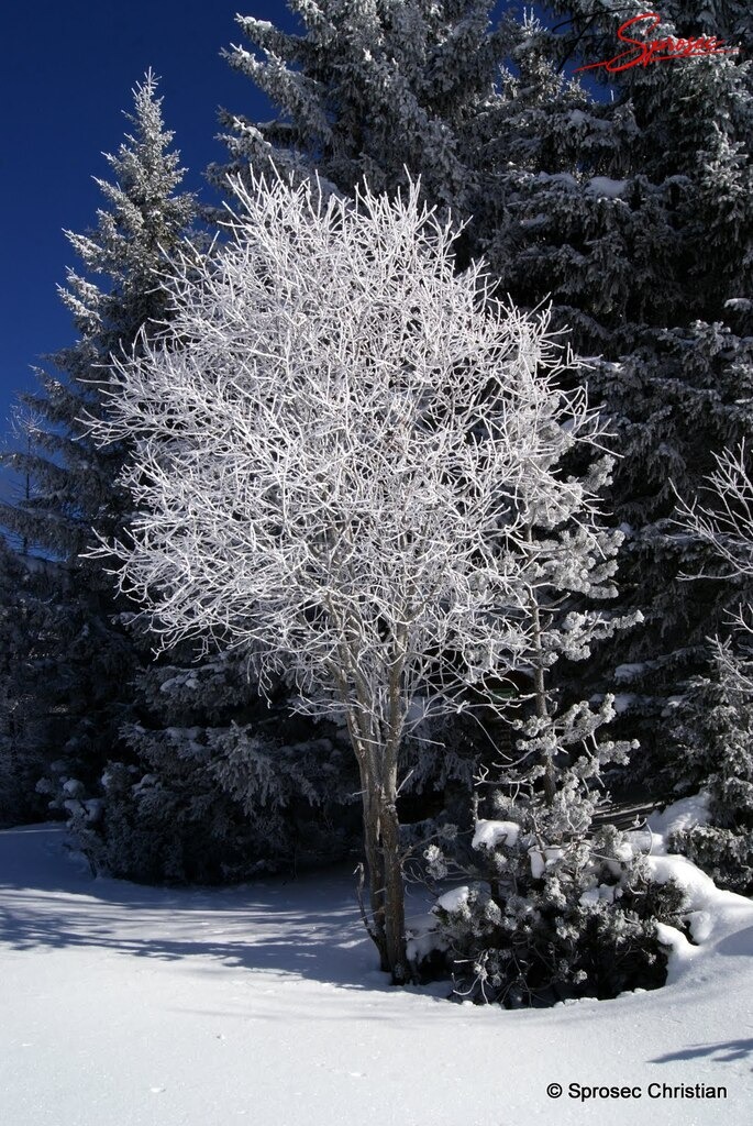 seeberg (6) | Gesehen am Seeberg Pass im Winter 2010/11 - Realisiert mit Pictrs.com