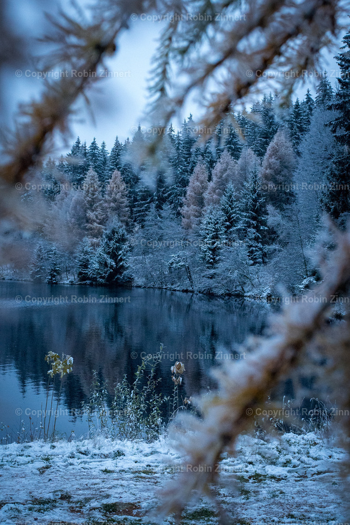 Fichtelsee_Winter00003 | Robin Zinnert - Realisiert mit Pictrs.com