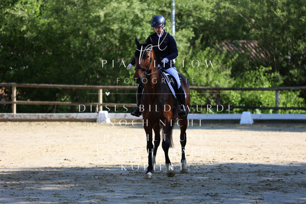 IMGT2842 | pl-fotografie