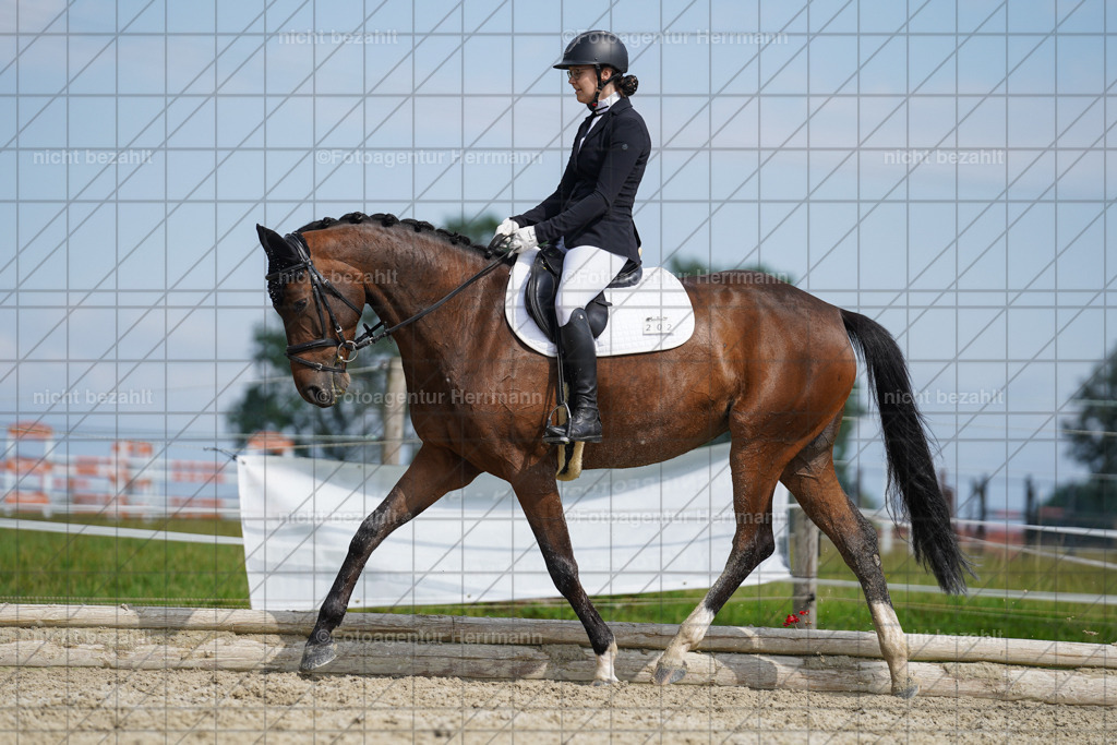 20230826-FAH05094 | Forstinning, 2023, Dressurturnier, Turniersportbilder, Turnierfotografen Bayern, Fotoagentur Herrmann, Reitsportfotografie, Turnierbilder
