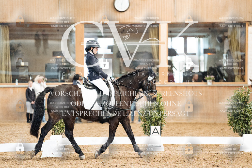 CK900188 | Turnierfotografie Pferdefotografie Trier Rheinland-Pfalz Pferdesport Reitsport Tierfotografie Sportfotografie Pferdevideo Pferdevideografie Equestrianvideography equestrianphotography  - Realisiert mit Pictrs.com
