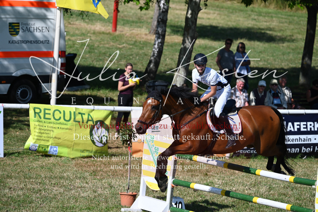 DSC_1934 | Pferde- und Turnierfotografie in Westsachsen. Pferdeportraits, Auftragszeichnungen und intuitive Kunst.