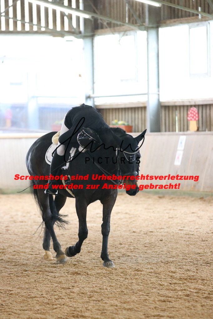 IMG_9809 | lmwpictures - Realisiert mit Pictrs.com