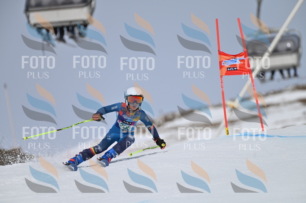 BGV_3940 | holidayphoto