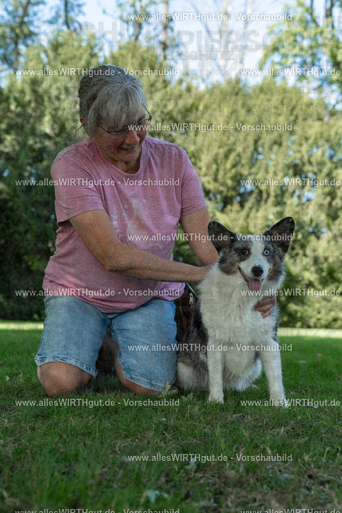 Hundeschwimmen_Volksbad_2026-allesWIRTHgut_Tierfotografie-2609061326-7R500816 | Professionelle Tierfotografie in Mönchengladbach von Daniel Wirth (allesWIRTHgut). Liebevolle & natürliche Bilder von Hunden & Katzen für unvergessliche Erinnerungen.