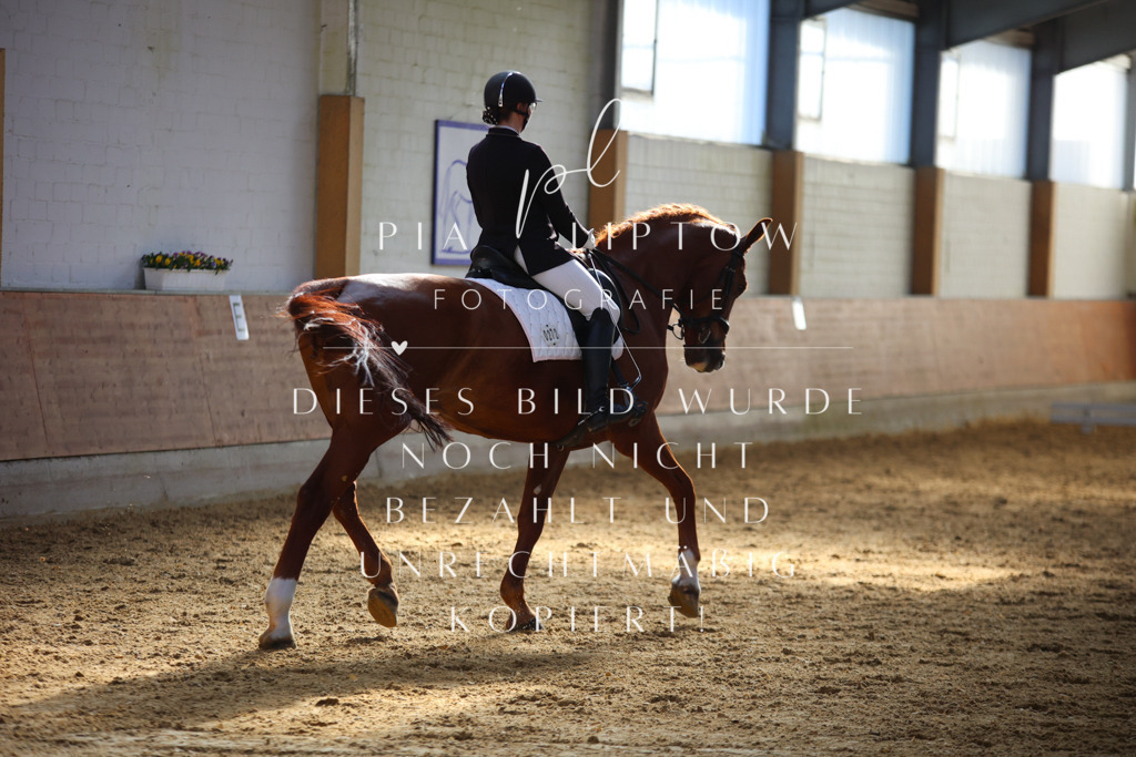 IMGT6399 | pl-fotografie