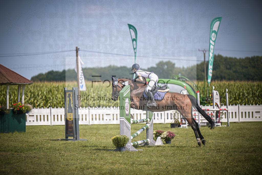 DOS_4660 | Entdecke hochwertige Reitturnierfotos von Foto Oger. Professionell, emotional und authentisch – jetzt Lieblingsmomente im Shop bestellen.Deutschlandweite Turnierfotografie. - Realisiert mit Pictrs.com
