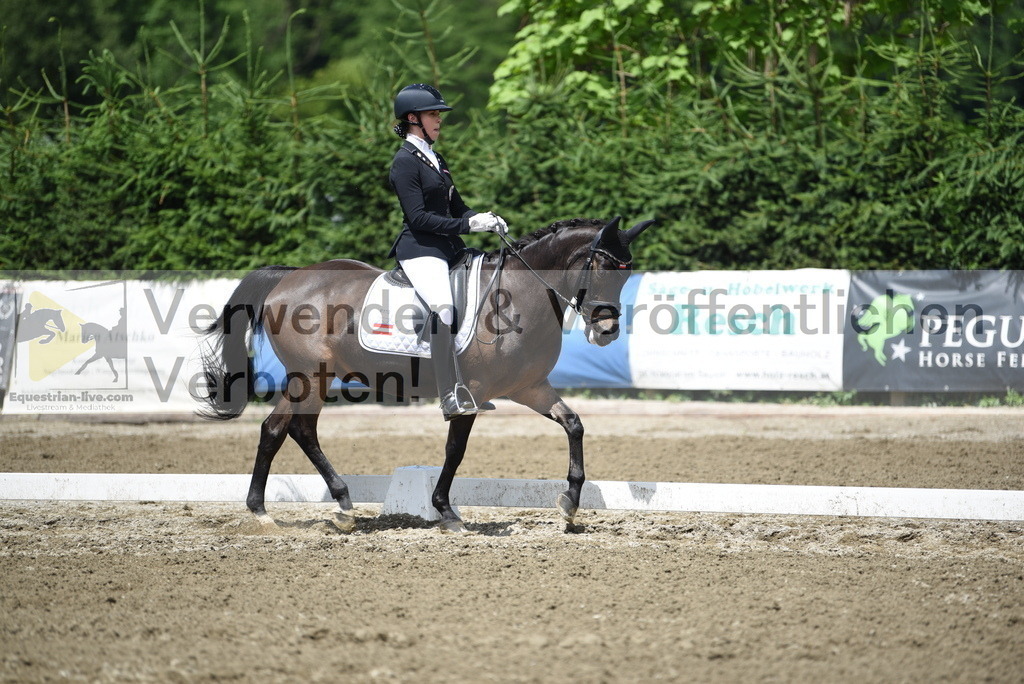 DSC_1403 | equestrian-live-com