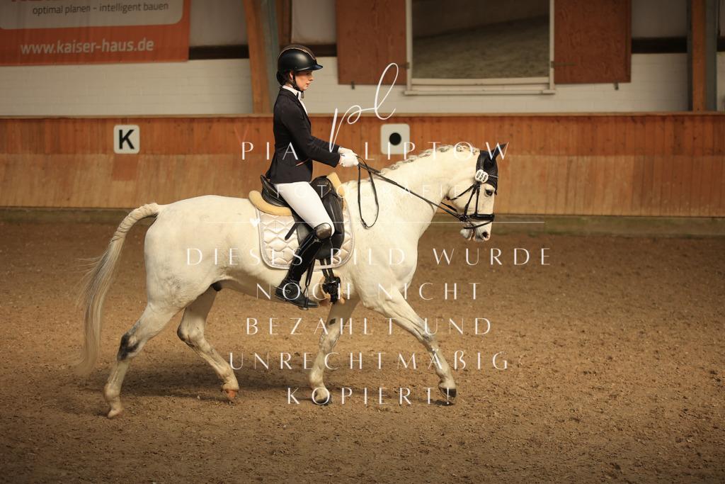 IMGT4426 | pl-fotografie