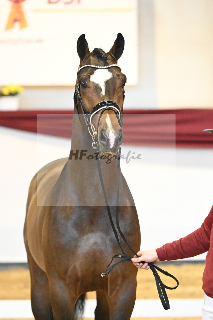 Kat-Nr. 59 v. Zalando_Kuntz_66222212 | hf-fotografie - Realizzato con Pictrs.com