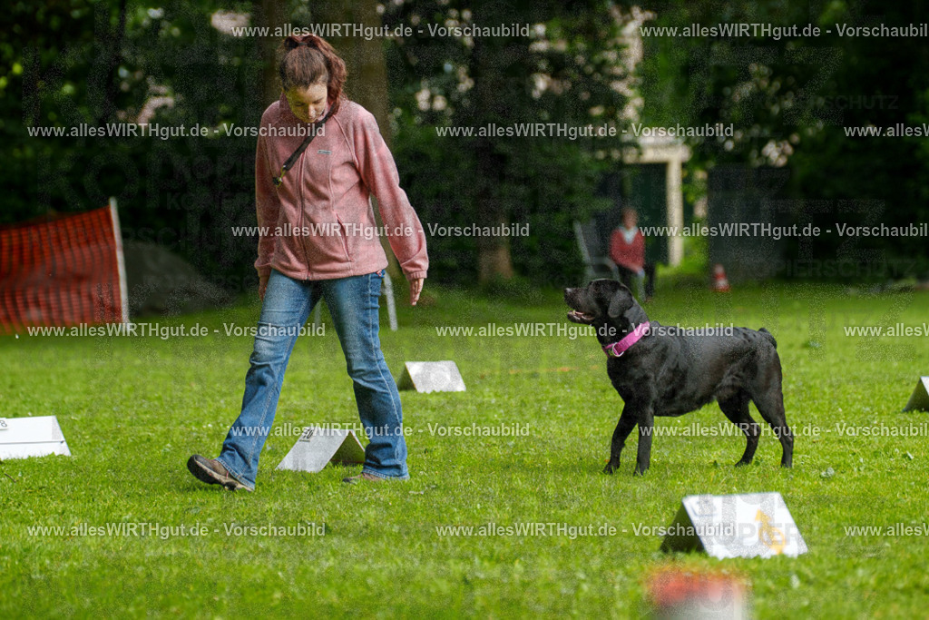 @allesWIRTHgut_Tierfotografie - www.allesWIRTHgut.de - 7R503129 | Professionelle Tierfotografie in Mönchengladbach von Daniel Wirth (allesWIRTHgut). Liebevolle & natürliche Bilder von Hunden & Katzen für unvergessliche Erinnerungen.