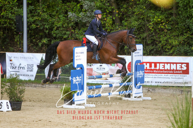 DKP42682 | Turniersportfotografie; Pferdefotografie; Dressurfotografie