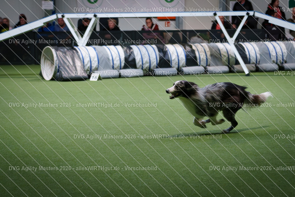 allesWIRTHgut_Tierfotografie-DVG_Agility_Masters_2026-16_41-7R508415 | Professionelle Tierfotografie in Mönchengladbach von Daniel Wirth (allesWIRTHgut). Liebevolle & natürliche Bilder von Hunden & Katzen für unvergessliche Erinnerungen.