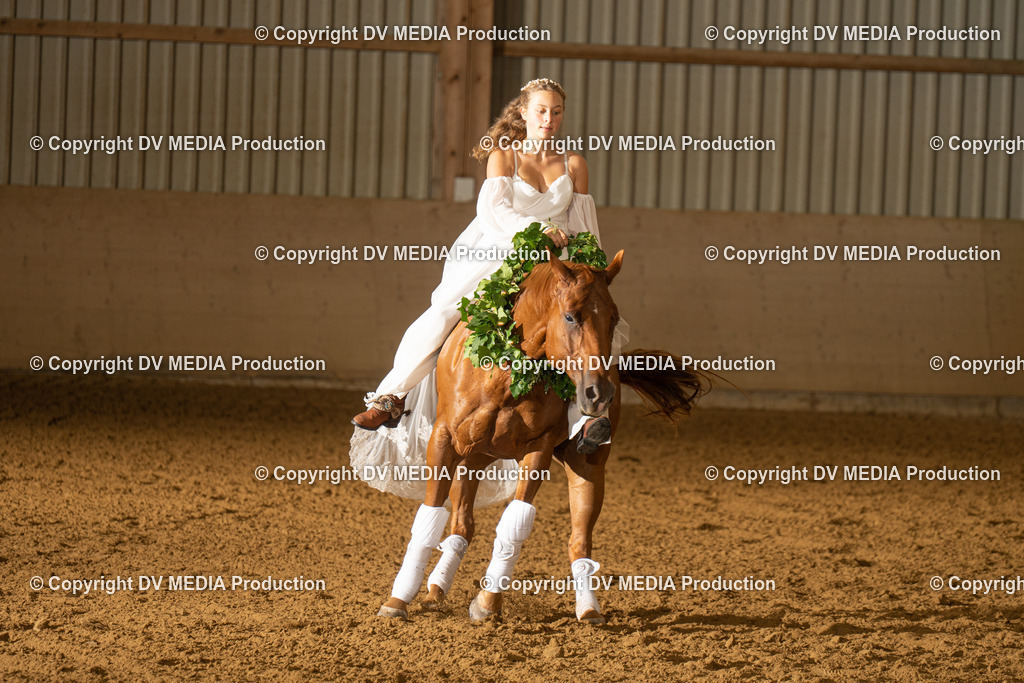 LAU01191 | dv-media-shop - Realisiert mit Pictrs.com